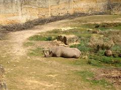 149 BIO PARC DE DOUE LA FONTAINE 7- 2016_000031